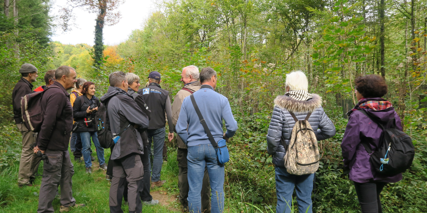 Biodiversité en forêt d'Éloie
